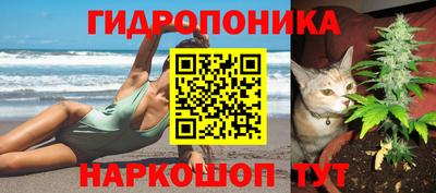 амф Аргун